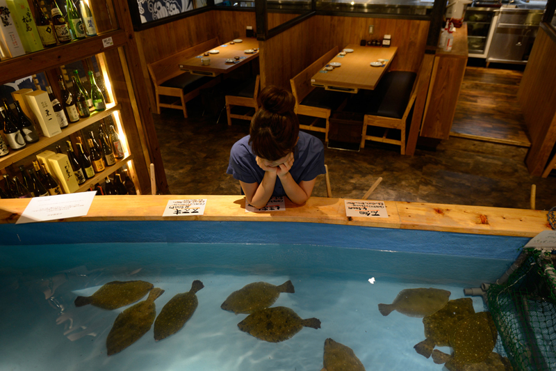 f:id:Meshi2_IB:20150713201131j:plain