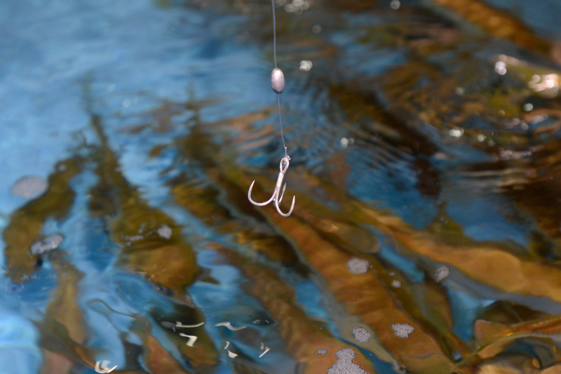 f:id:Meshi2_IB:20150714110051j:plain