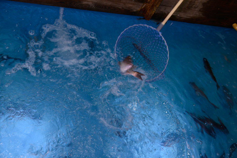 f:id:Meshi2_IB:20150714111908j:plain