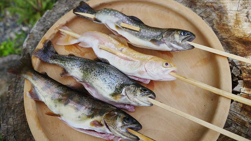 山奥で幻の白いニジマスを喰らう そもそも川魚に味の違いはあるの 地主恵亮 メシ通 ホットペッパーグルメ