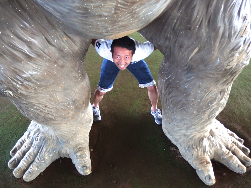 f:id:Meshi2_IB:20150804104815j:plain