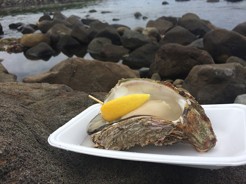 f:id:Meshi2_IB:20150904144836j:plain