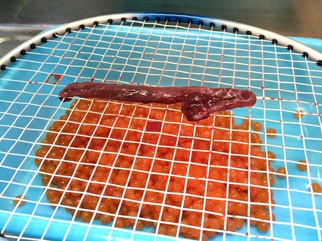 f:id:Meshi2_IB:20151023102015j:plain f:id:Meshi2_IB:20151023102015j:plain