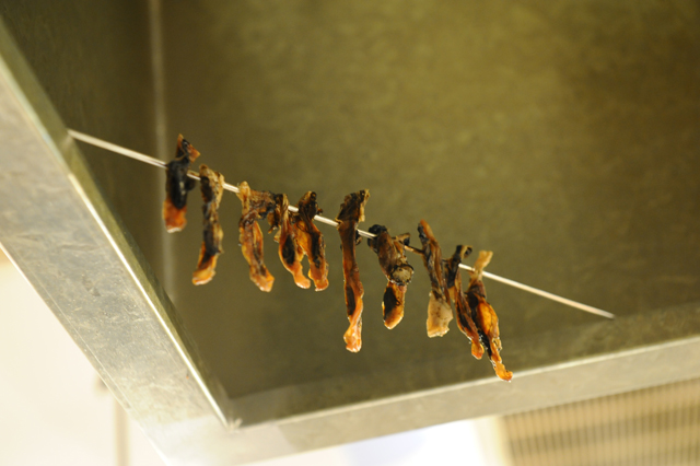 f:id:Meshi2_IB:20151027130201j:plain