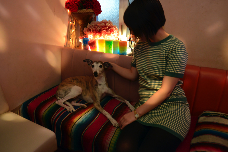 f:id:Meshi2_IB:20160328203853j:plain