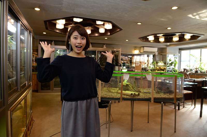 f:id:Meshi2_IB:20160629203311j:plain