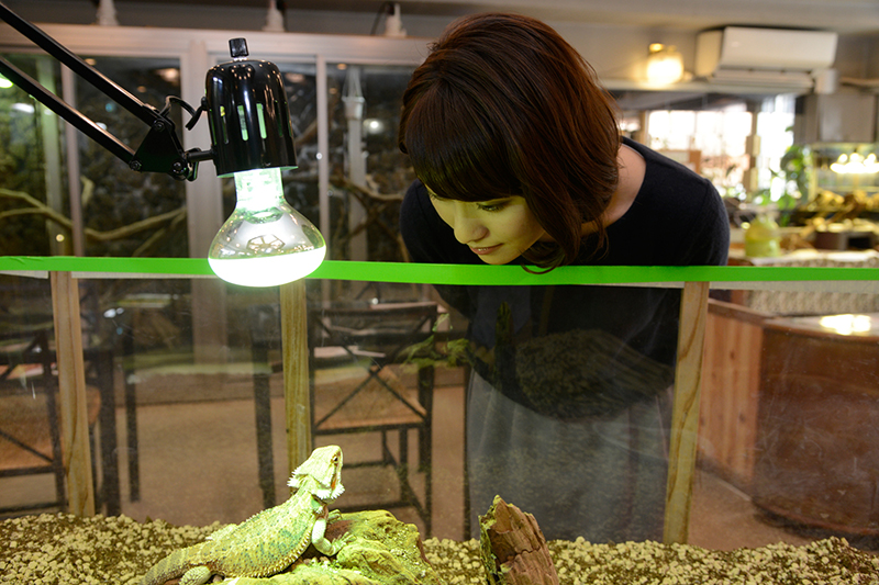 f:id:Meshi2_IB:20160629203637j:plain