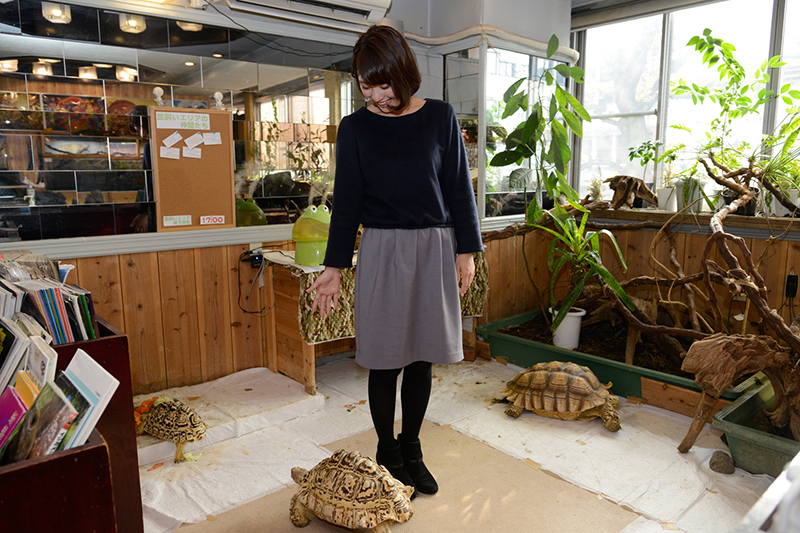 f:id:Meshi2_IB:20160629214418j:plain