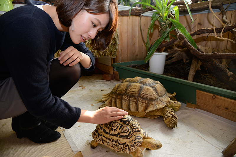 f:id:Meshi2_IB:20160629214620j:plain