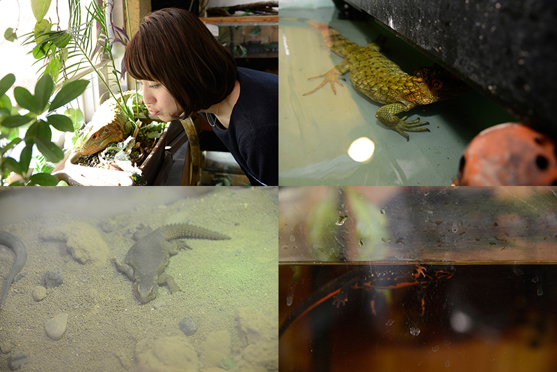 f:id:Meshi2_IB:20160629215440j:plain