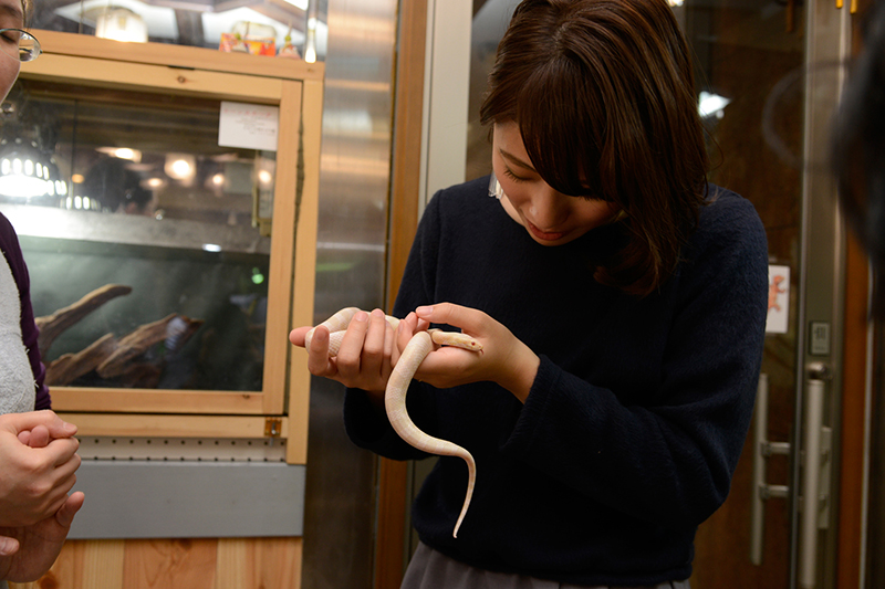 f:id:Meshi2_IB:20160629223659j:plain