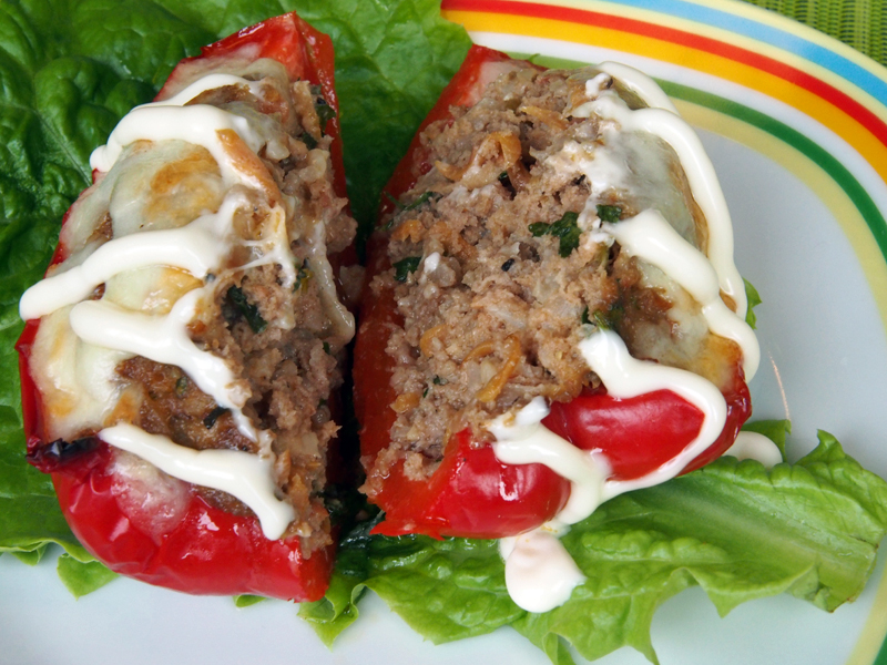 f:id:Meshi2_IB:20160803211917j:plain