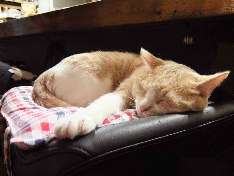 f:id:Meshi2_IB:20160803214000j:plain f:id:Meshi2_IB:20160803214000j:plain