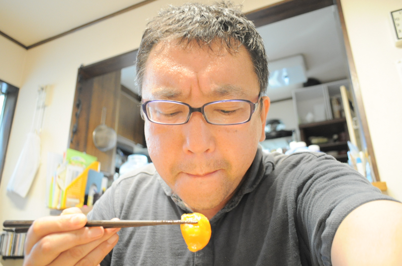 f:id:Meshi2_IB:20160826161649j:plain