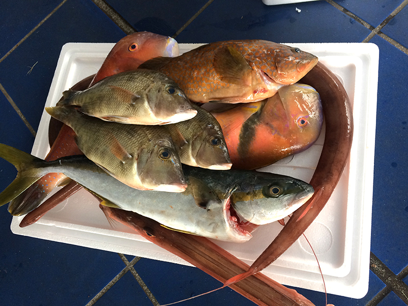 f:id:Meshi2_IB:20161026193119j:plain