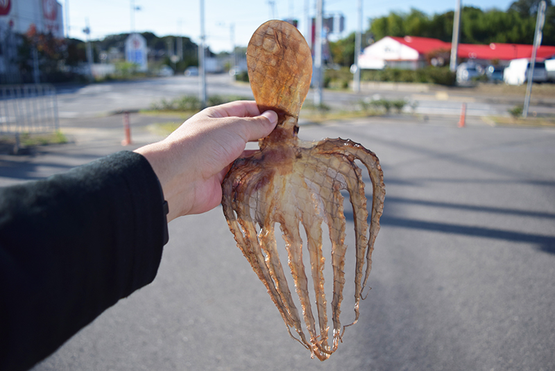 f:id:Meshi2_IB:20161101123221j:plain
