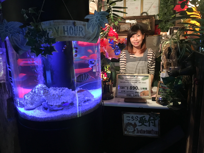 f:id:Meshi2_IB:20161107204947j:plain