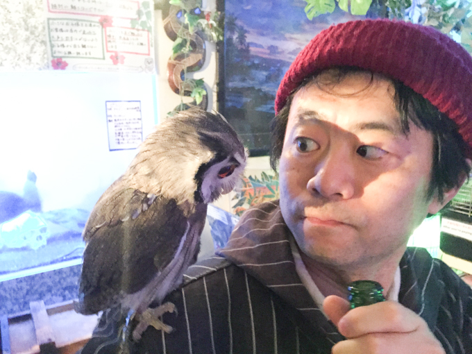f:id:Meshi2_IB:20161107210021j:plain
