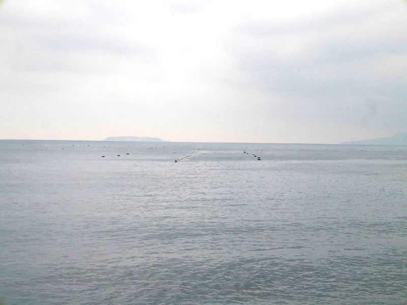 f:id:Meshi2_IB:20161108074738j:plain