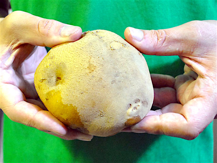 f:id:Meshi2_IB:20170330104148j:plain f:id:Meshi2_IB:20170330104148j:plain