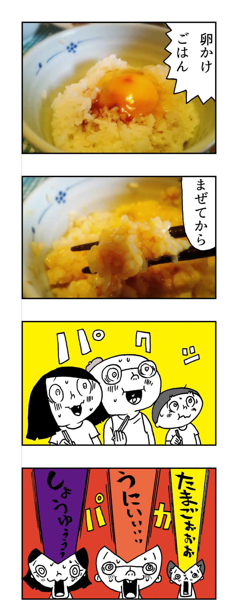 f:id:Meshi2_IB:20170529224334j:plain