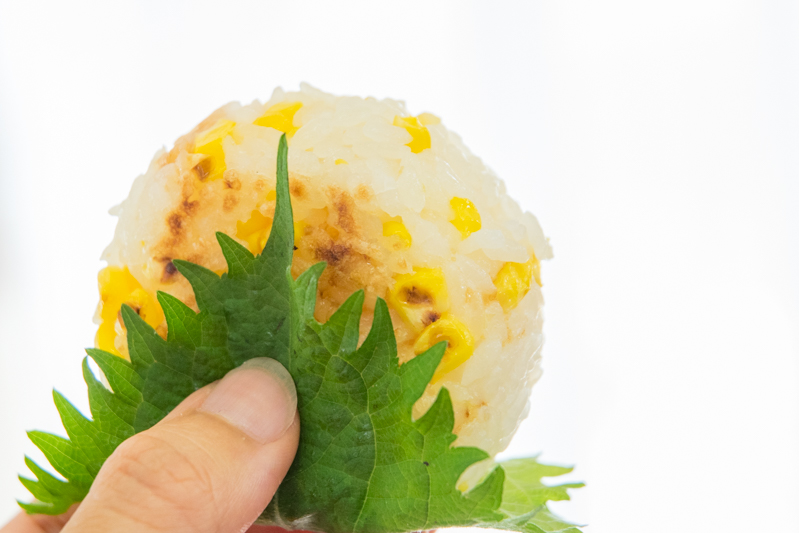 f:id:Meshi2_IB:20170722141823j:plain f:id:Meshi2_IB:20170722141823j:plain