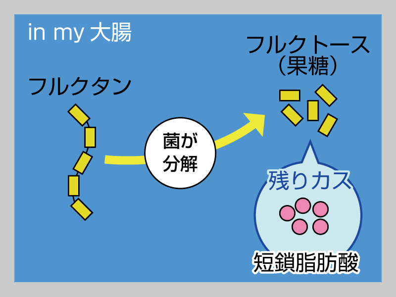 f:id:Meshi2_IB:20170817104225j:plain