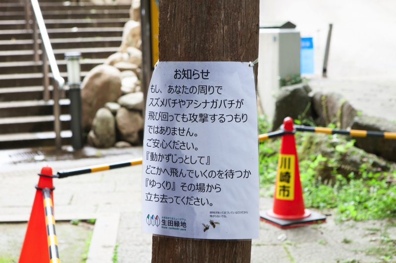 f:id:Meshi2_IB:20170927121713j:plain f:id:Meshi2_IB:20170927121713j:plain