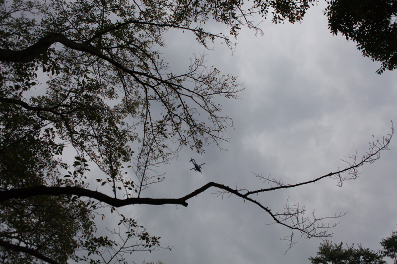 f:id:Meshi2_IB:20170927122020j:plain f:id:Meshi2_IB:20170927122020j:plain