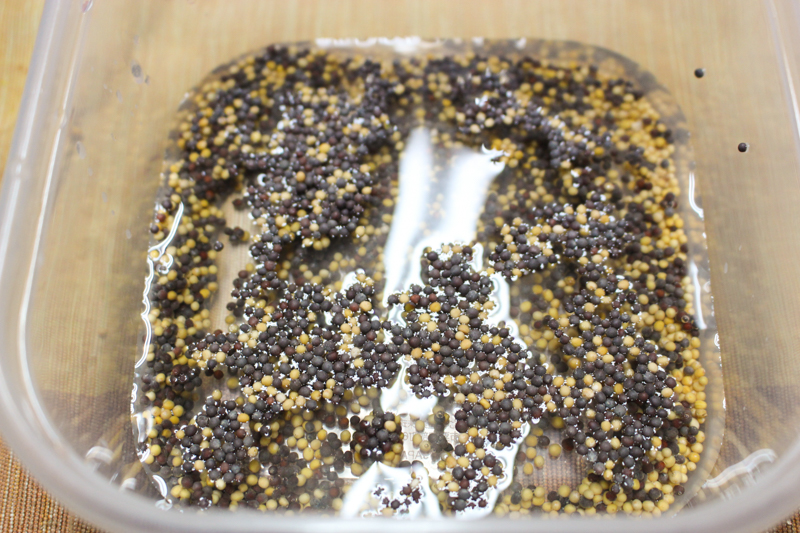 f:id:Meshi2_IB:20170929133450j:plain f:id:Meshi2_IB:20170929133450j:plain