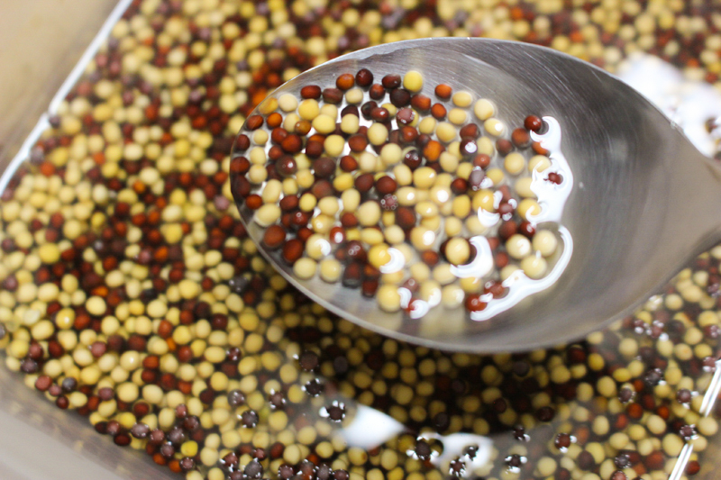 f:id:Meshi2_IB:20170929133502j:plain f:id:Meshi2_IB:20170929133502j:plain