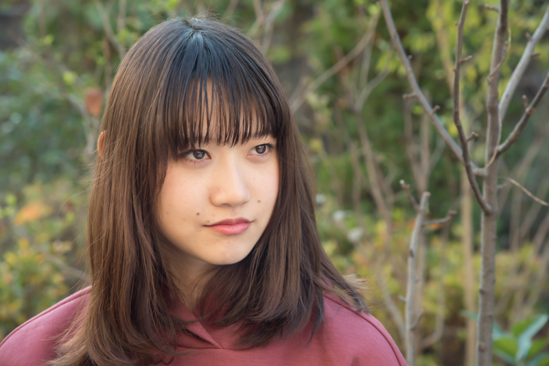 f:id:Meshi2_IB:20171218124357j:plain