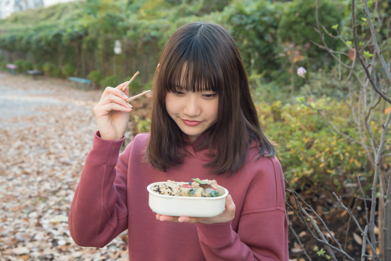 f:id:Meshi2_IB:20171218124457j:plain