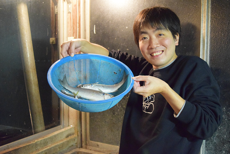 八つ手網