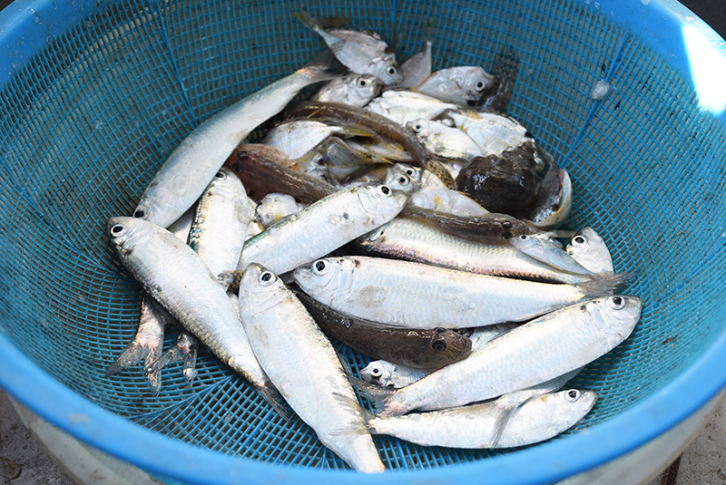 f:id:Meshi2_IB:20171220180228j:plain