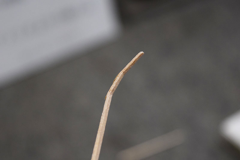 f:id:Meshi2_IB:20180215180618j:plain f:id:Meshi2_IB:20180215180618j:plain