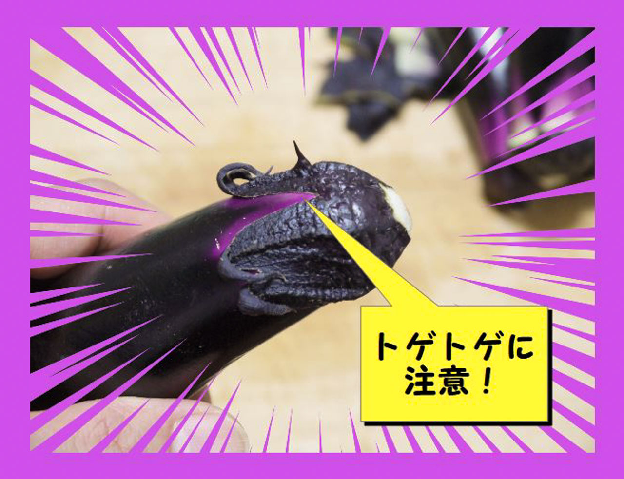 f:id:Meshi2_IB:20180604174006j:plain f:id:Meshi2_IB:20180604174006j:plain