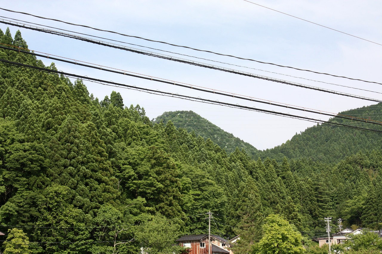 f:id:Meshi2_IB:20180627172842j:plain