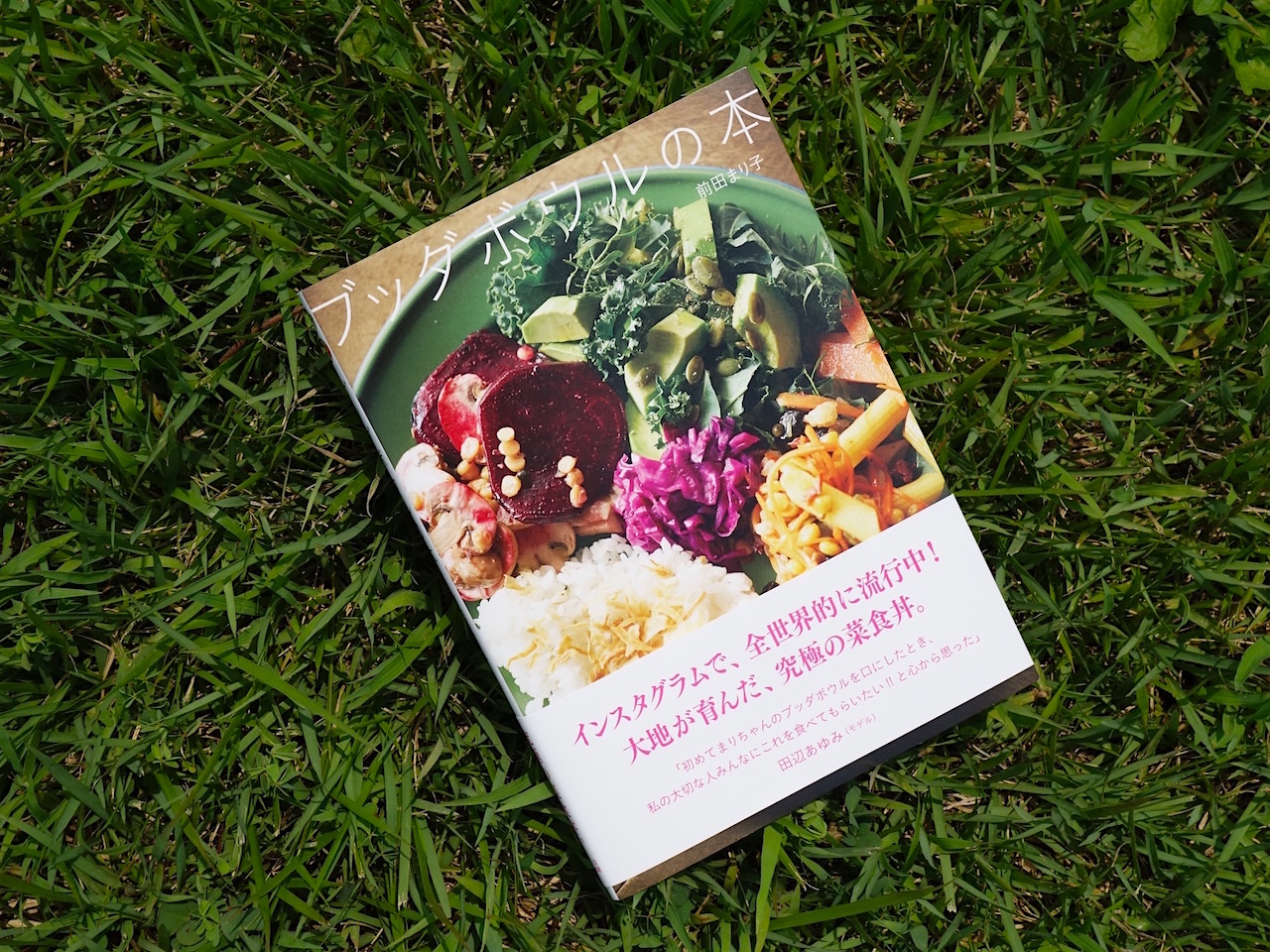 f:id:Meshi2_IB:20180803115958j:plain