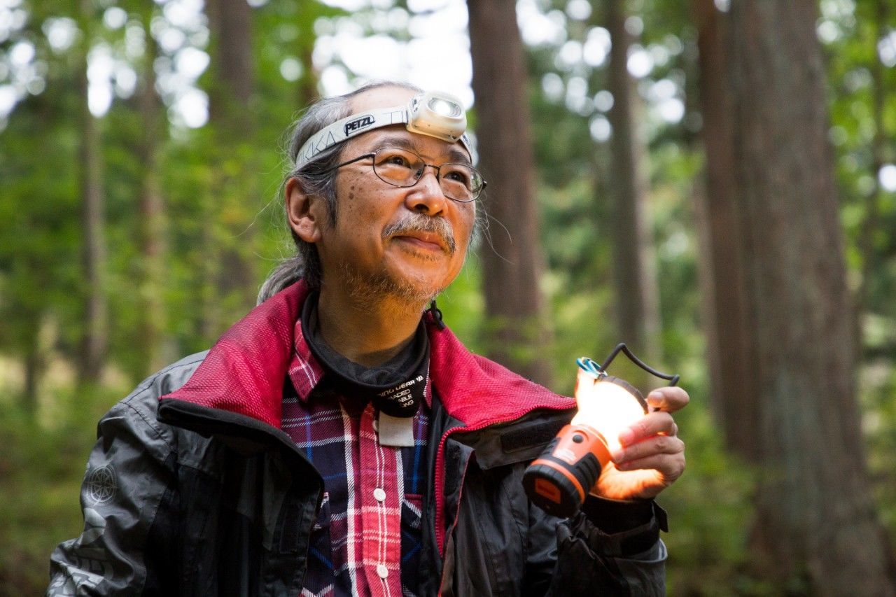 f:id:Meshi2_IB:20181105203536j:plain