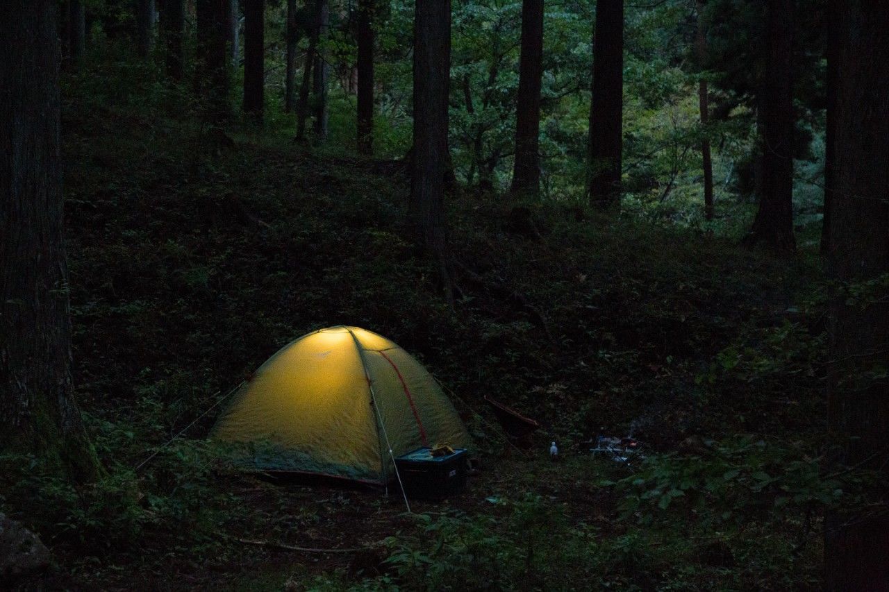 f:id:Meshi2_IB:20181105203707j:plain