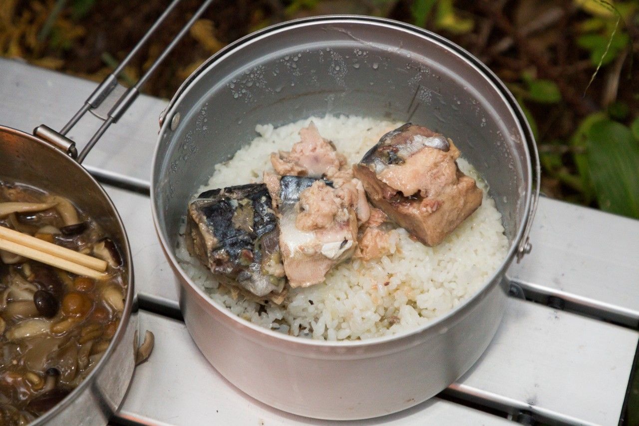 f:id:Meshi2_IB:20181105213000j:plain