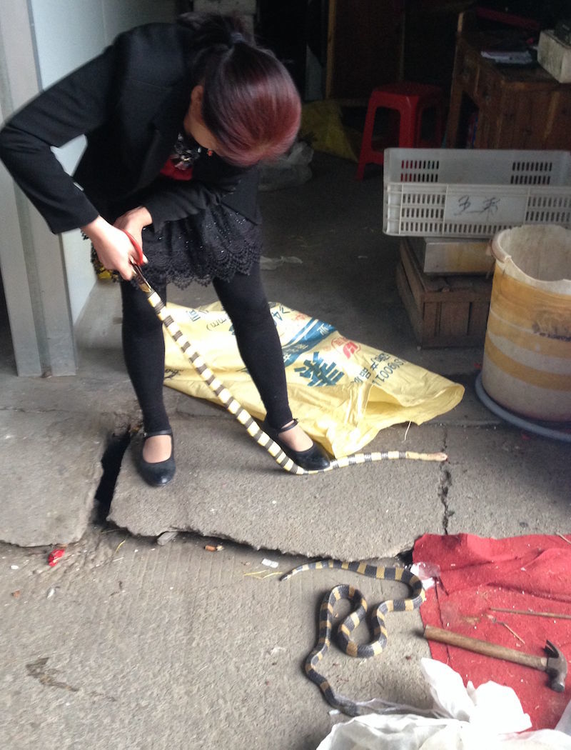 f:id:Meshi2_IB:20181113183721j:plain f:id:Meshi2_IB:20181113183721j:plain