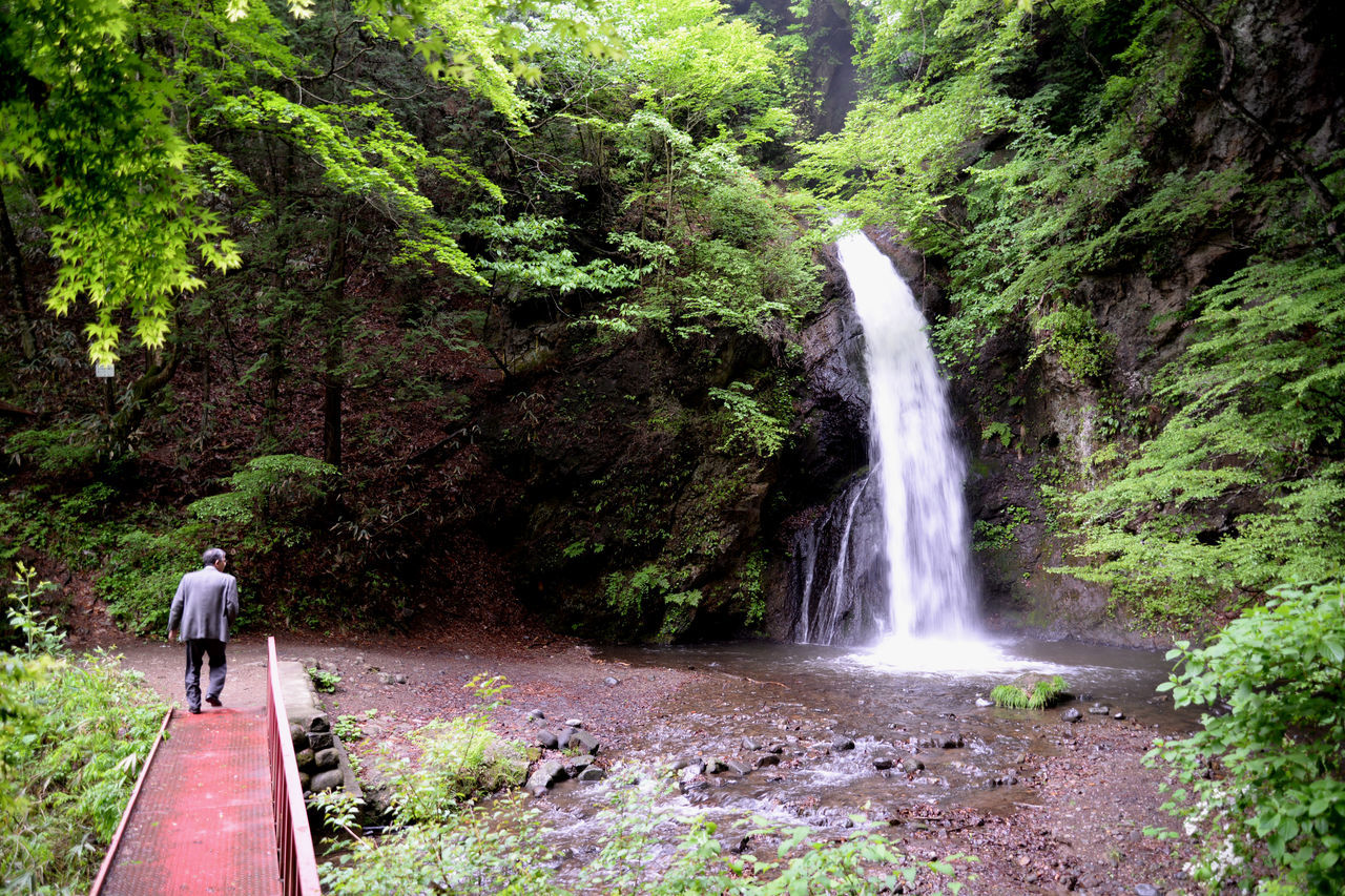 f:id:Meshi2_IB:20181117140006j:plain f:id:Meshi2_IB:20181117140006j:plain