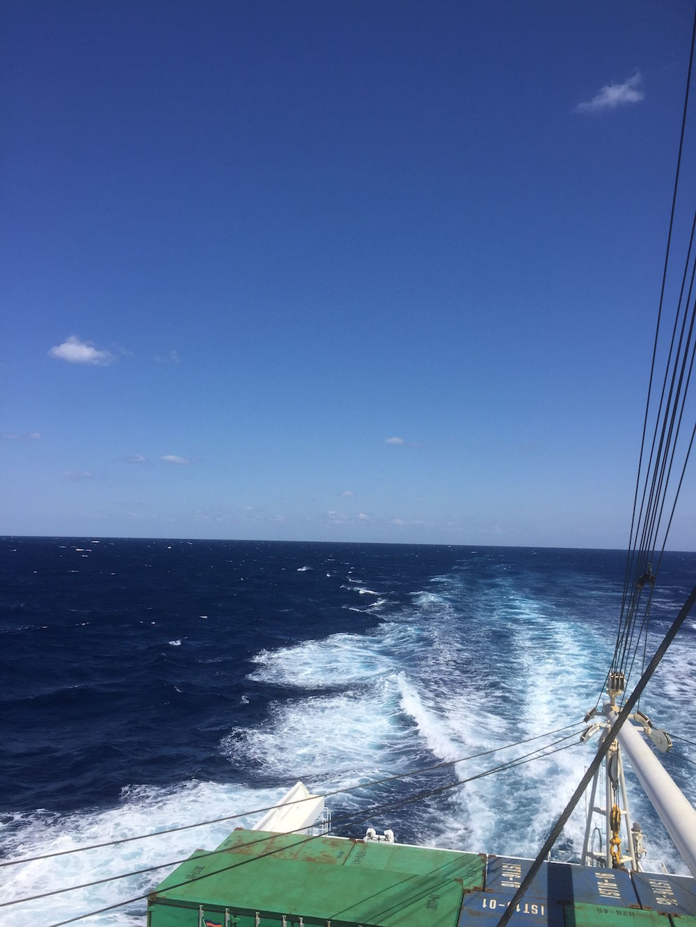 f:id:Meshi2_IB:20190507165201j:plain f:id:Meshi2_IB:20190507165201j:plain