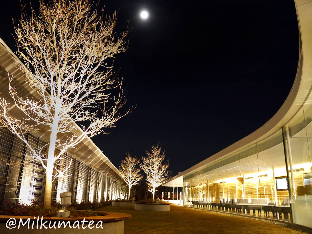 f:id:Meshi2_IB:20191204171046j:plain