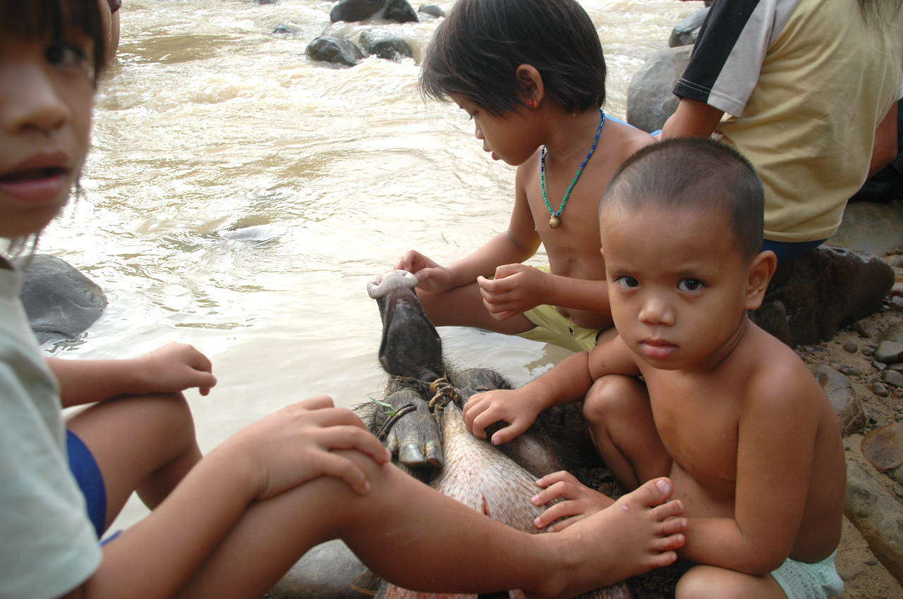 f:id:Meshi2_IB:20200713125225j:plain