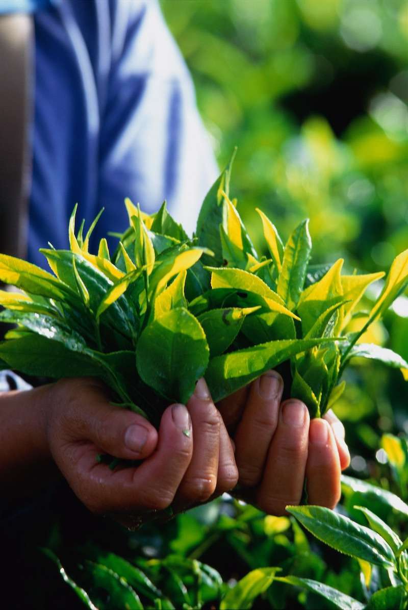 f:id:Meshi2_IB:20201020124949j:plain f:id:Meshi2_IB:20201020124949j:plain