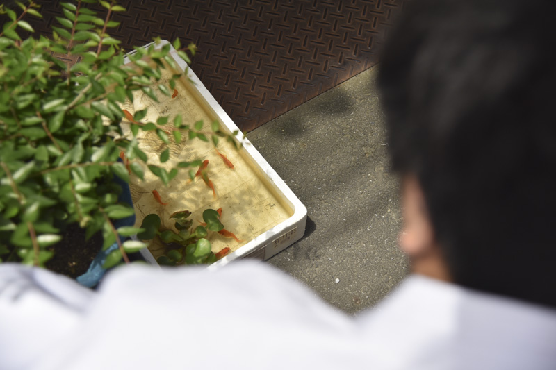 f:id:Meshi2_Writer:20150528074553j:plain