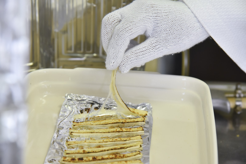 f:id:Meshi2_Writer:20150528093120j:plain